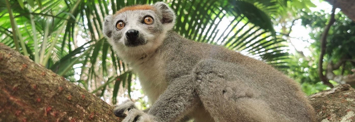 Co warto zobaczyć na Madagaskarze?