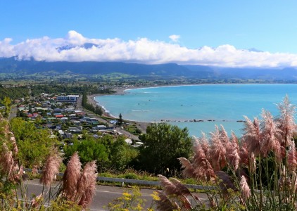 Dlaczego warto odwiedzić Nową Zelandię?