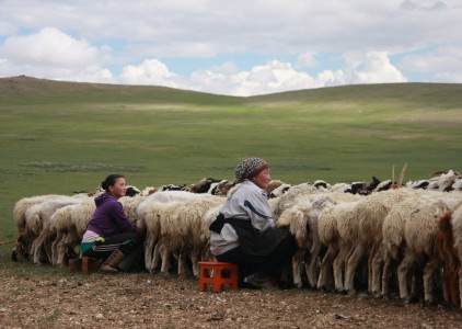 Kiedy najlepiej jechać do Mongolii?