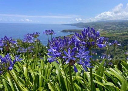 Azory - Sao Miguel co warto wiedzieć?