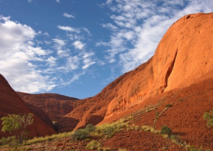 Z czym kojarzy się Australia? Przewodnik po symbolach i atrakcjach kraju kangurów