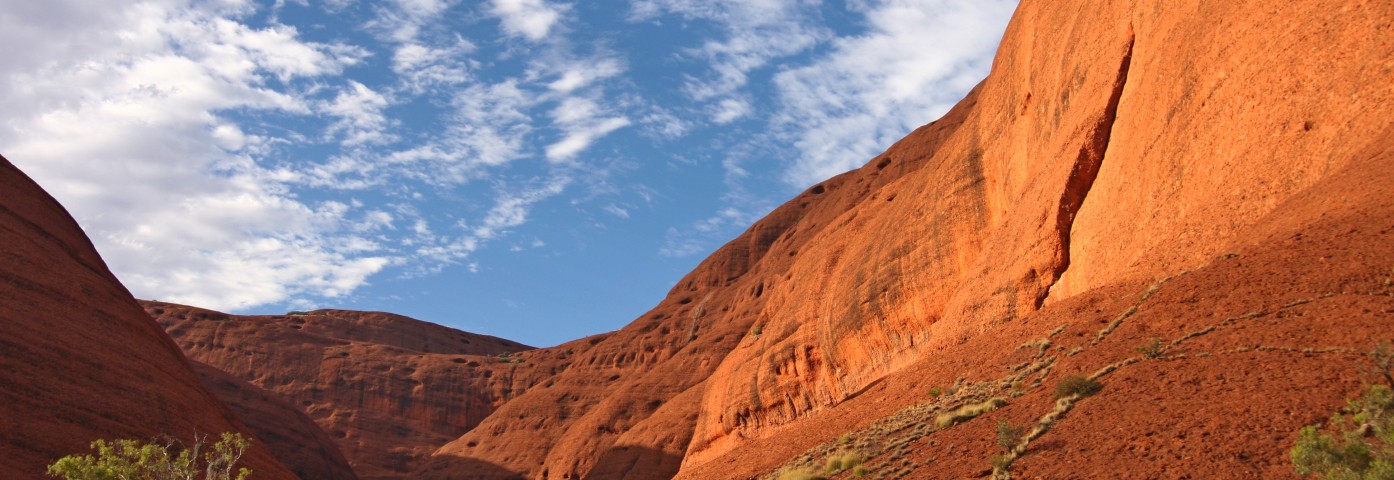Z czym kojarzy się Australia? Przewodnik po symbolach i atrakcjach kraju kangurów