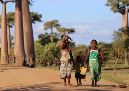 Z czego słynie Madagaskar? Największe skarby niezwykłej wyspy