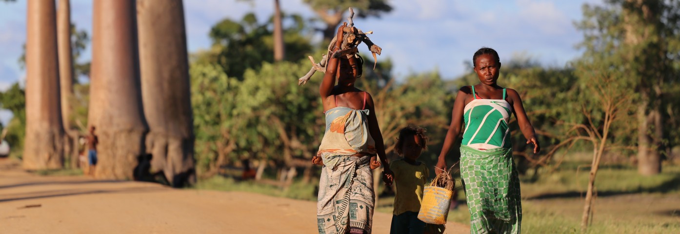 Z czego słynie Madagaskar? Największe skarby niezwykłej wyspy