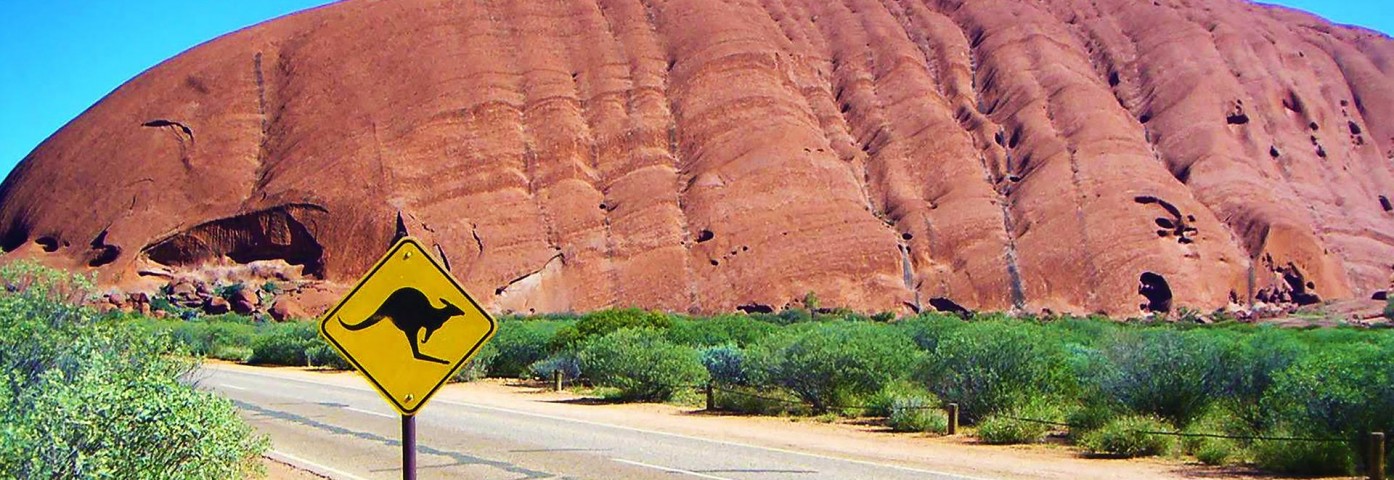 Kangury: skaczący włodarze Australii. Co musisz o nich wiedzieć?