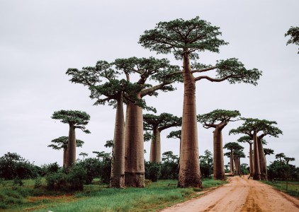 Co zabrać w podróż na Madagaskar?