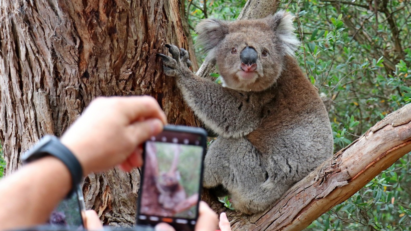 Wycieczka do Australii.