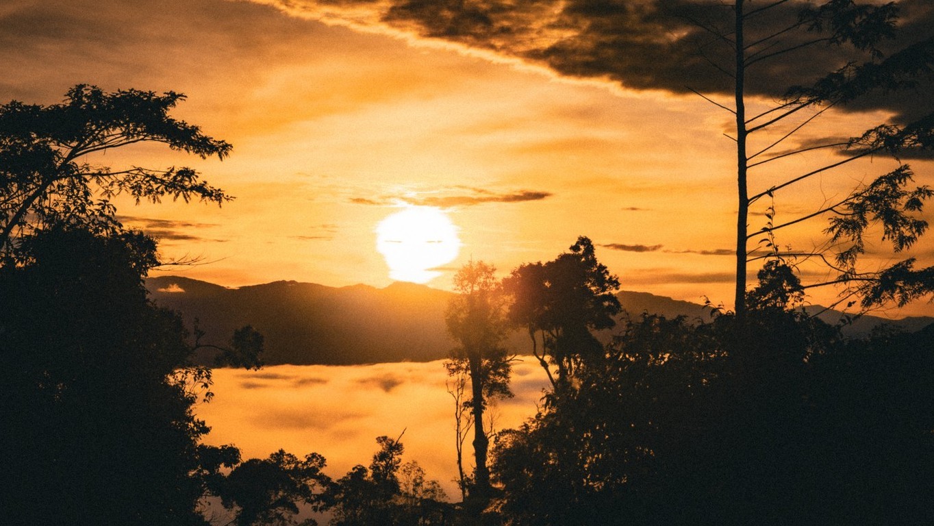Wycieczka do Indonezji