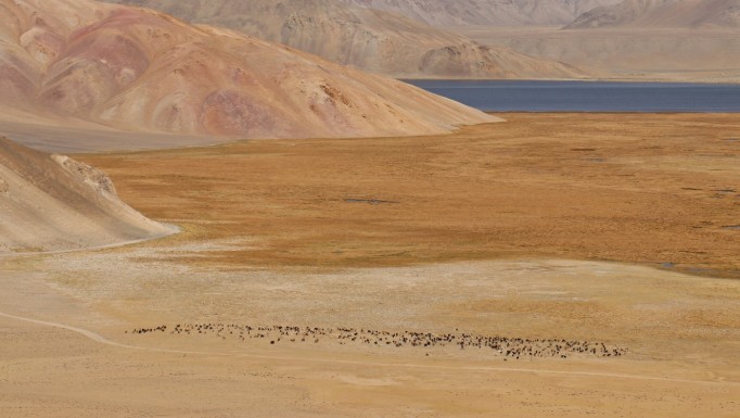 Wycieczka: Pamir (Tadżykistan i Kirgistan)