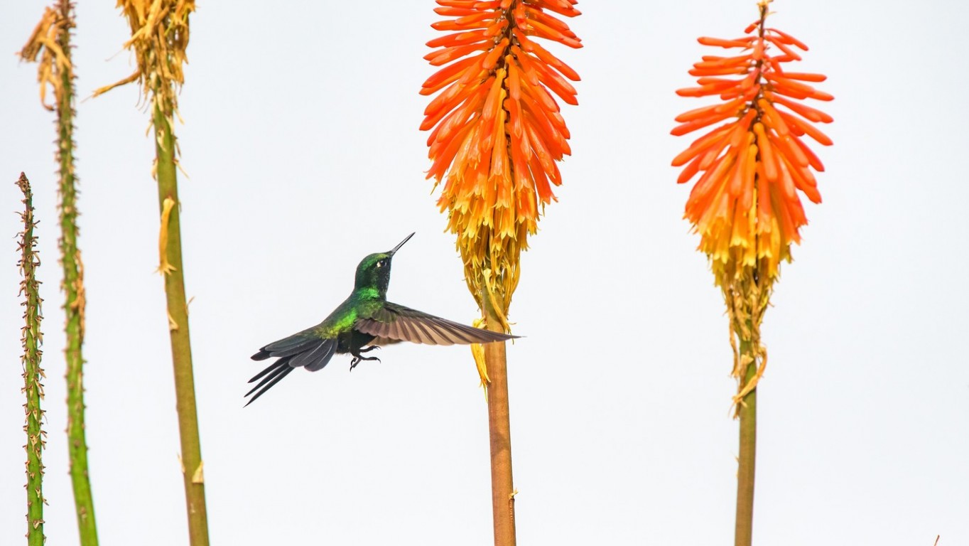 Wycieczka do Kolumbii